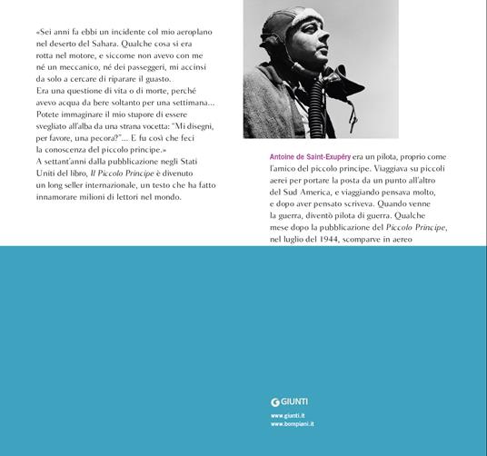 Il Piccolo Principe. Ediz. illustrata