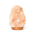 Lampada di Sale dell'Himalaya - Himalayan Salt Lamp