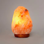 Lampada di Sale dell'Himalaya - Himalayan Salt Lamp