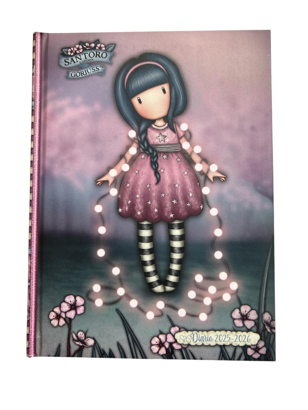 Santoro Diario 2025/2026