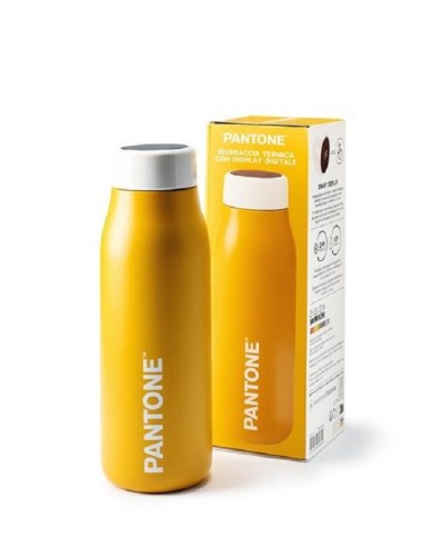 PANTONE BORRACCIA TERMICA CON DISPLAY DIGITALE